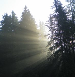 Šumava magická